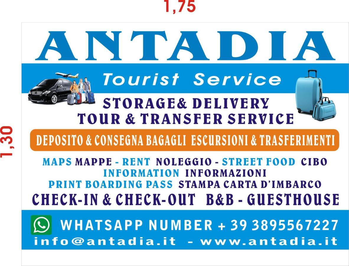 Antadia